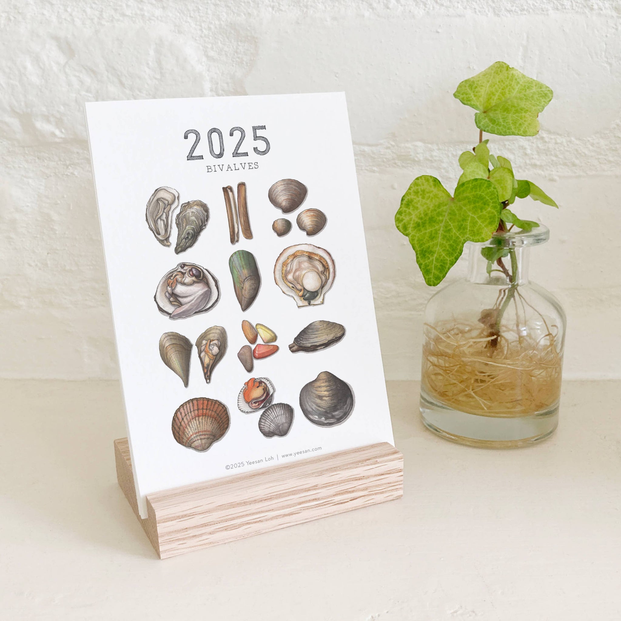 yeesan loh 2025 calendars bivalves cover