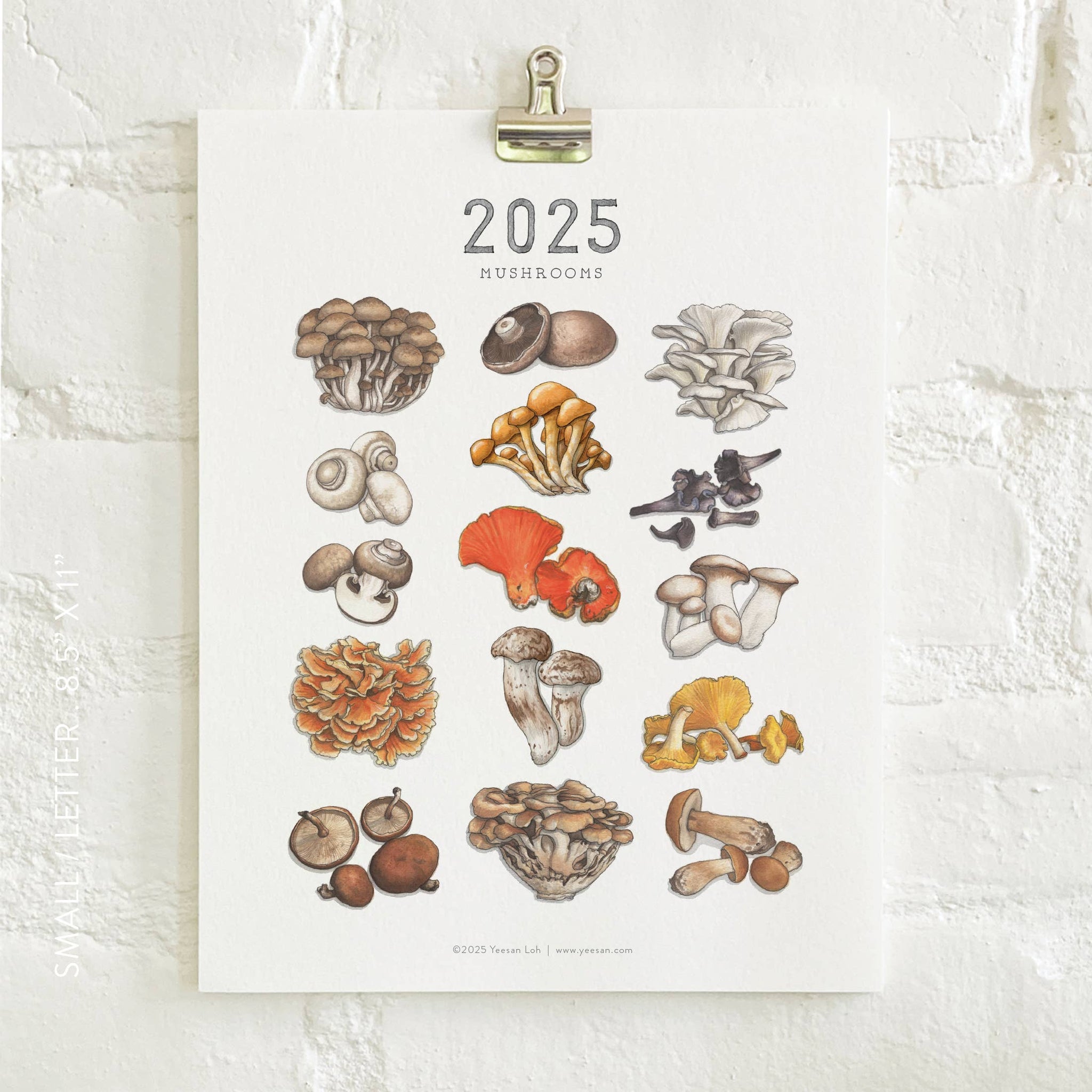 yeesan loh 2025 calendars mushrooms 