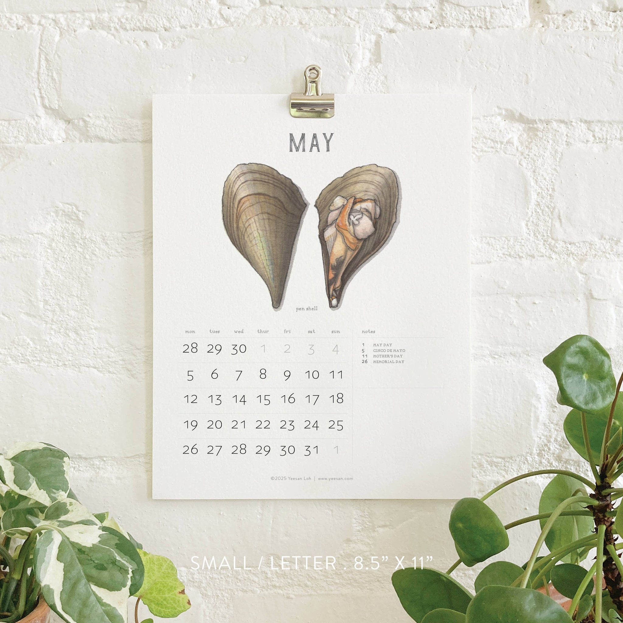 yeesan loh 2025 calendars bivalves may