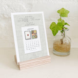 calendar | bento | 2025 | two sizes | yeesan loh