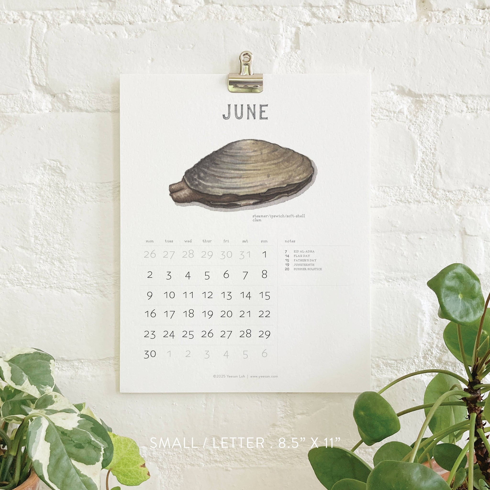 yeesan loh 2025 calendars bivalves june