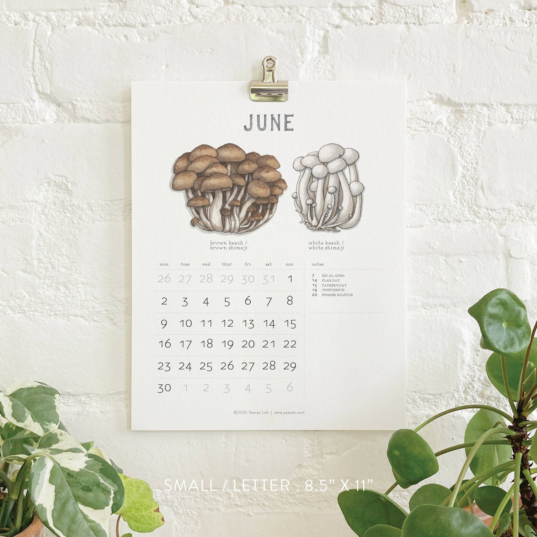 yeesan loh 2025 calendars mushrooms june