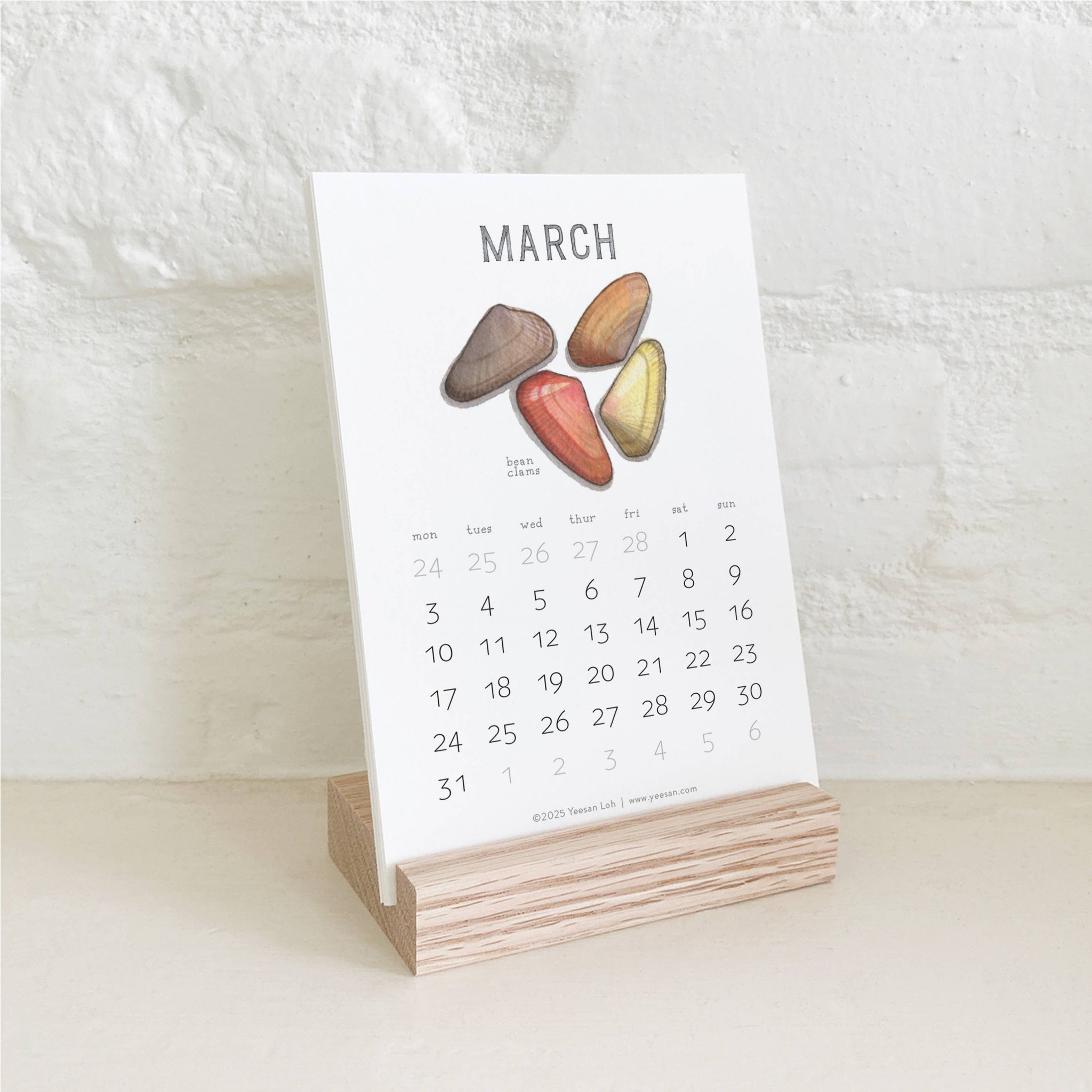 yeesan loh 2025 calendars bivalves march