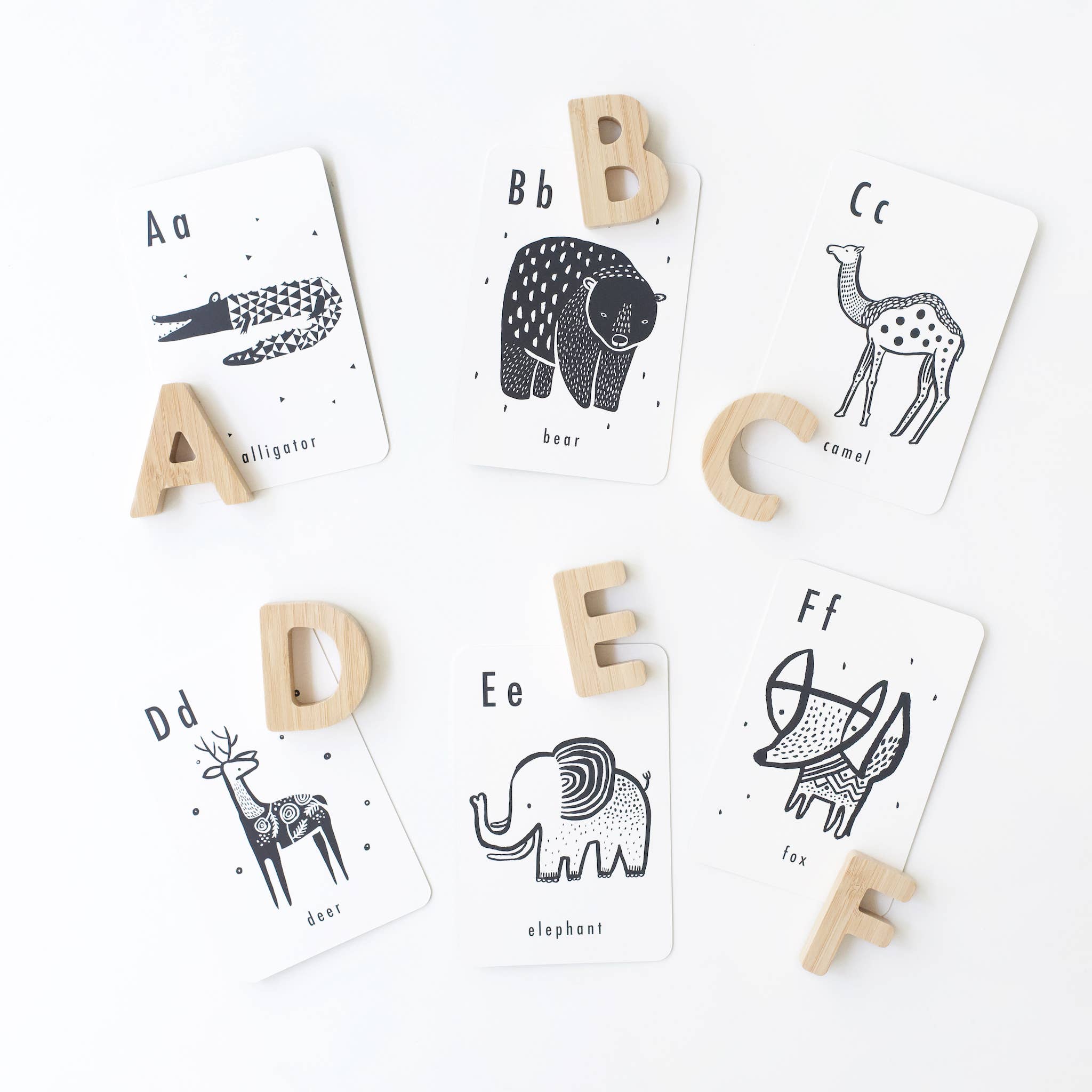 alphabet cards animal open