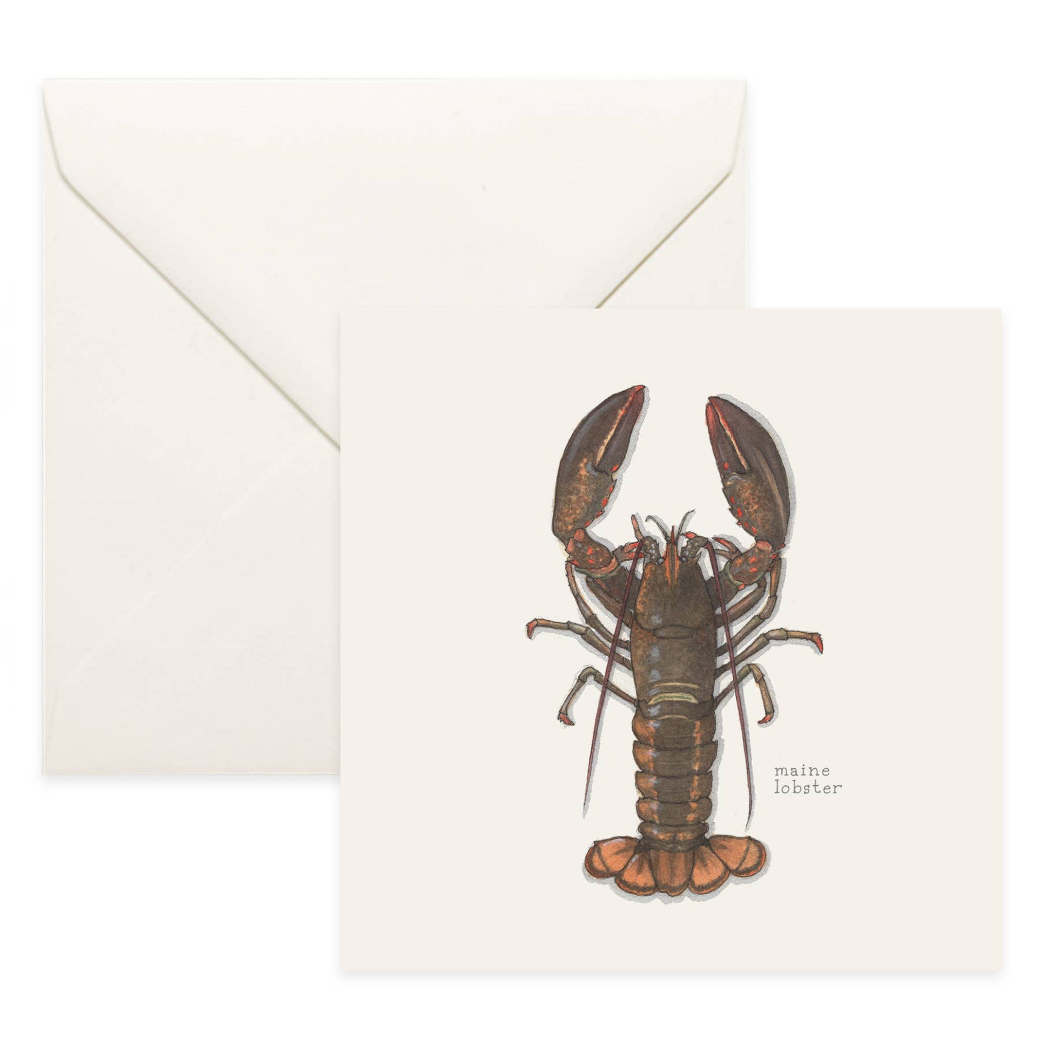 yeesan loh card maine lobster artwork with envelope