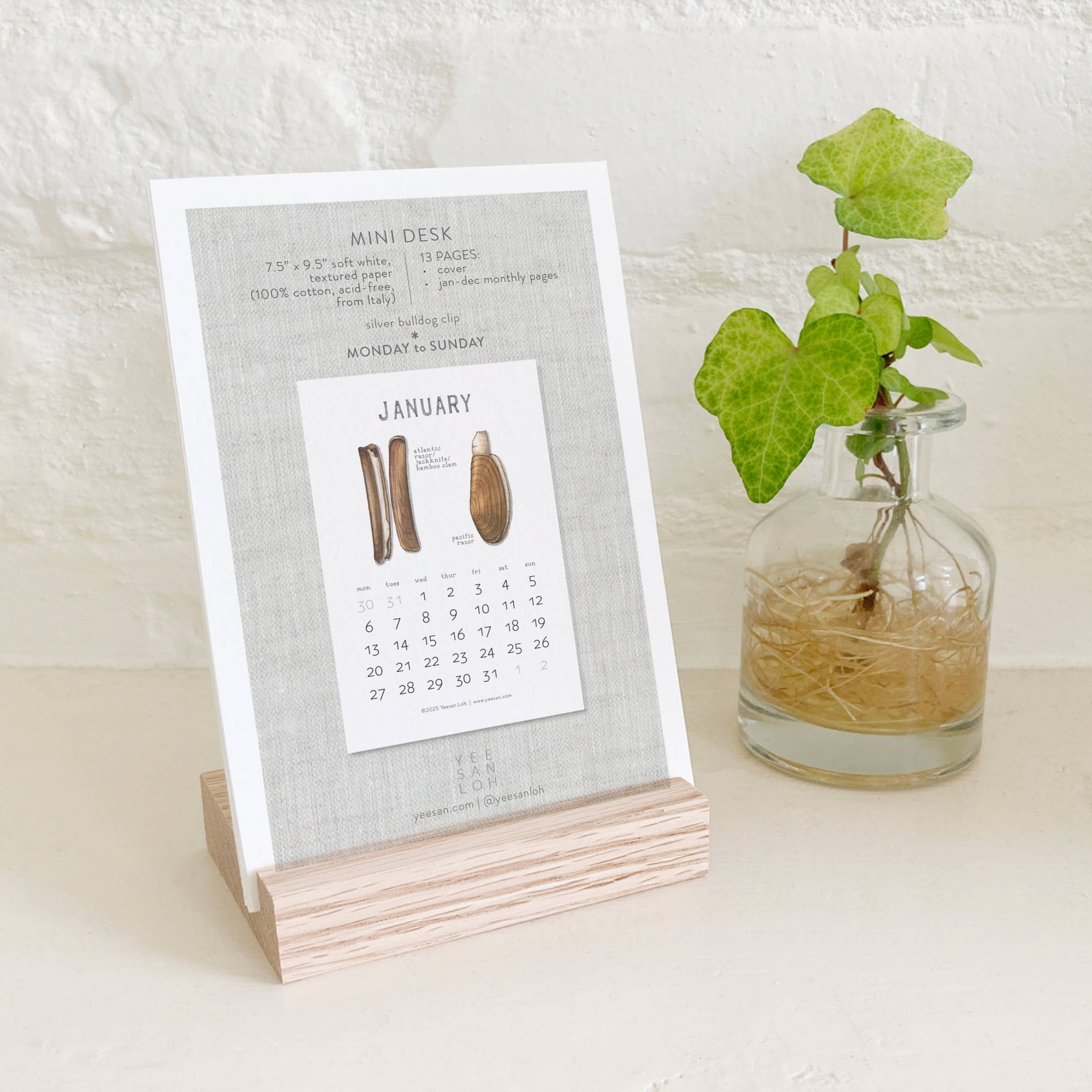 yeesan loh 2025 calendars bivalves january