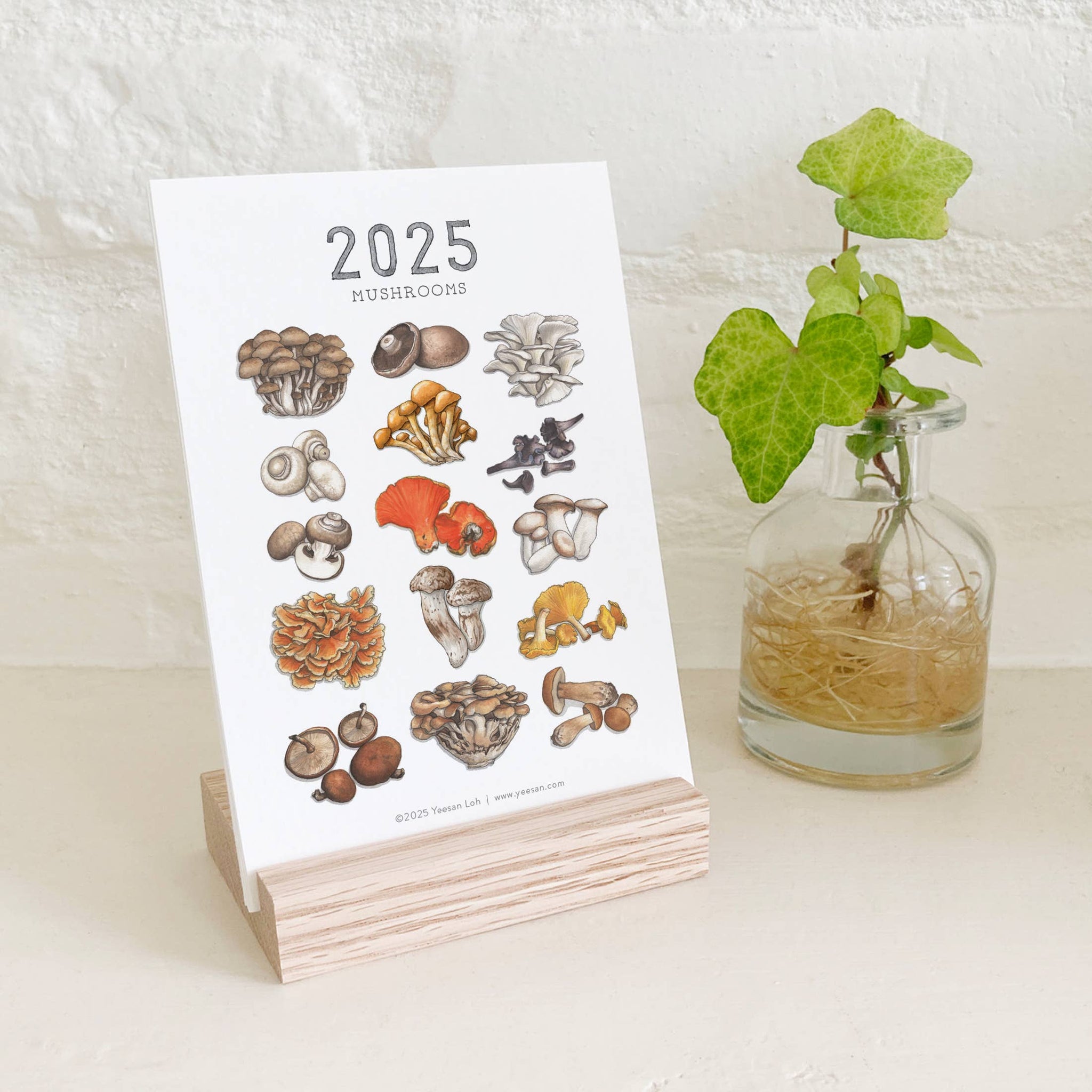 yeesan loh 2025 calendars mushrooms closeup 2