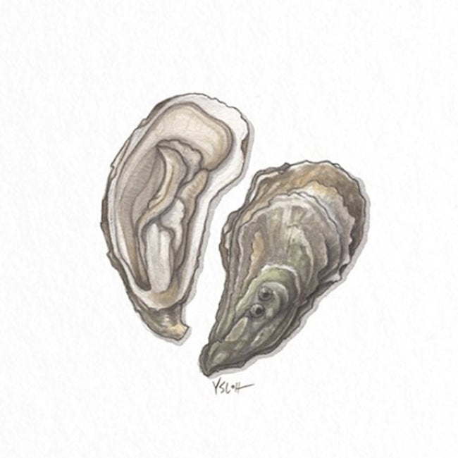 card | atlantic oysters