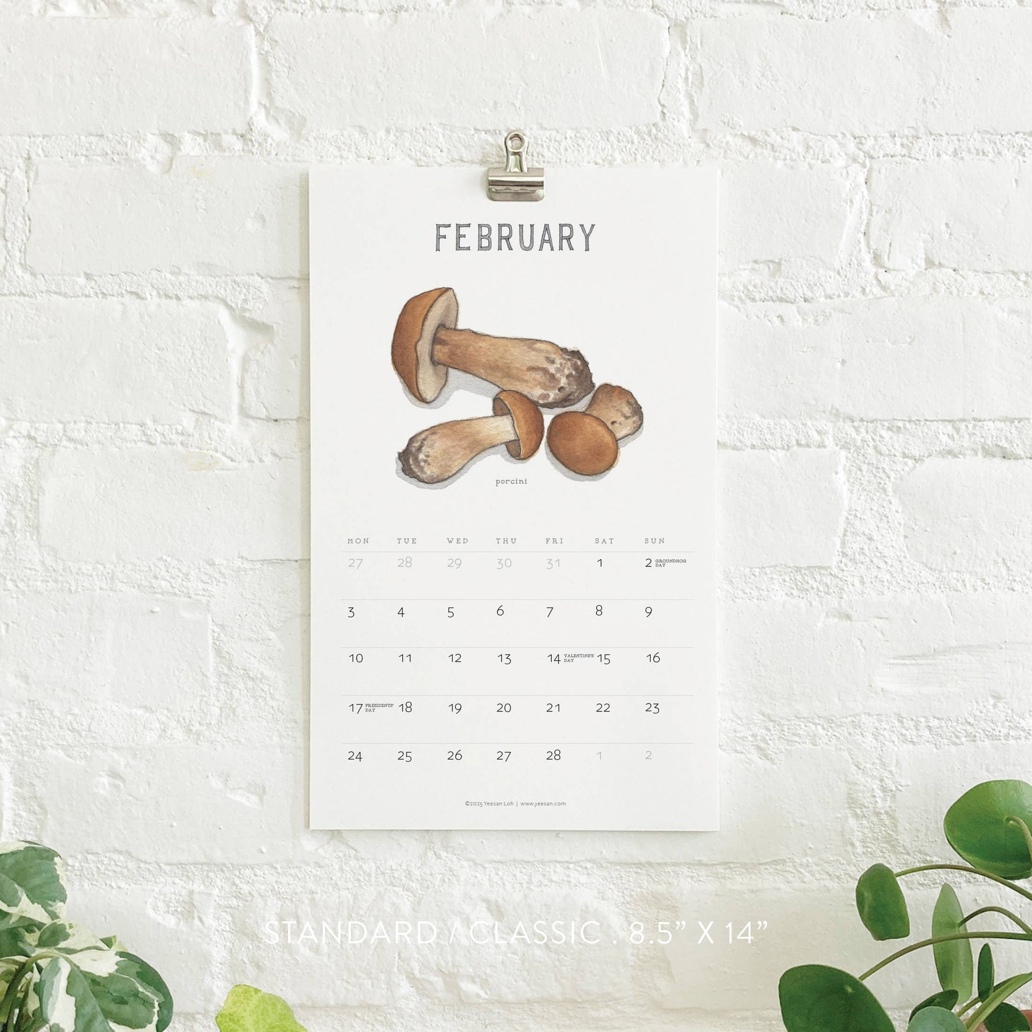 yeesan loh 2025 calendars mushrooms february