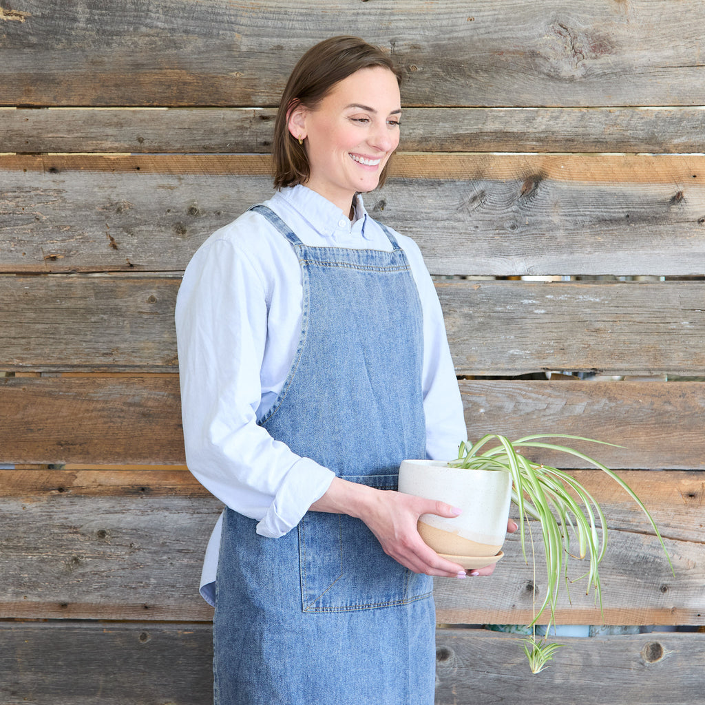 model with plant