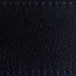 black strap |  two-stitch wide | swatch