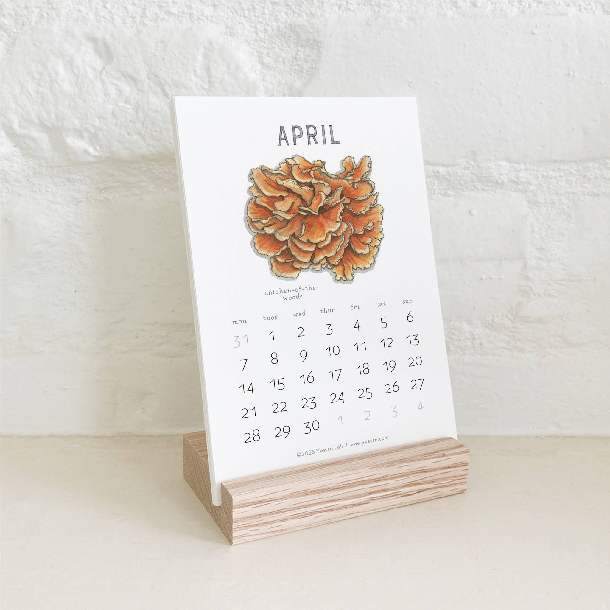 yeesan loh 2025 calendars mushrooms april