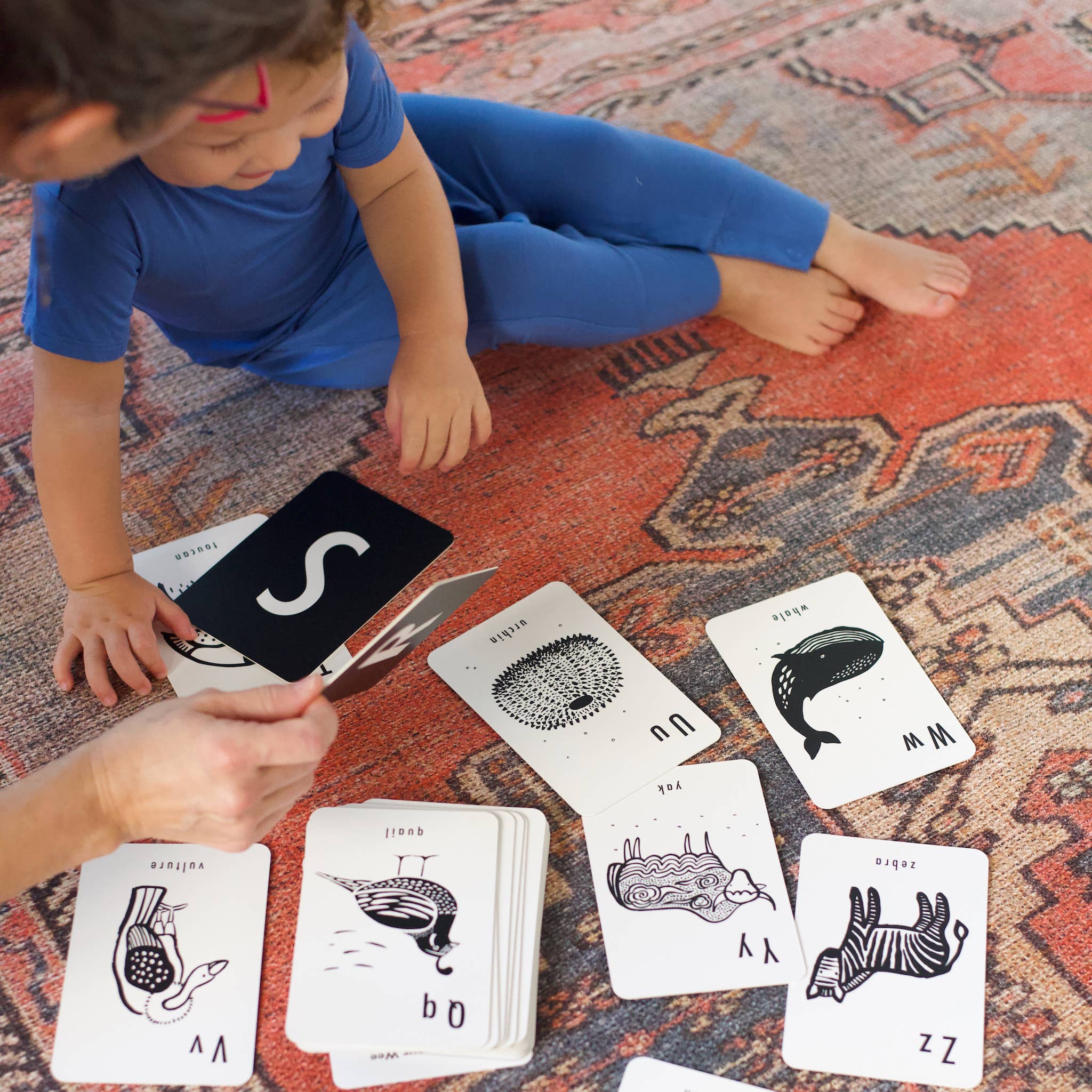 alphabet cards animal play