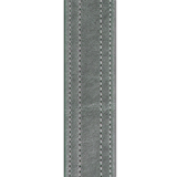 swatch strap